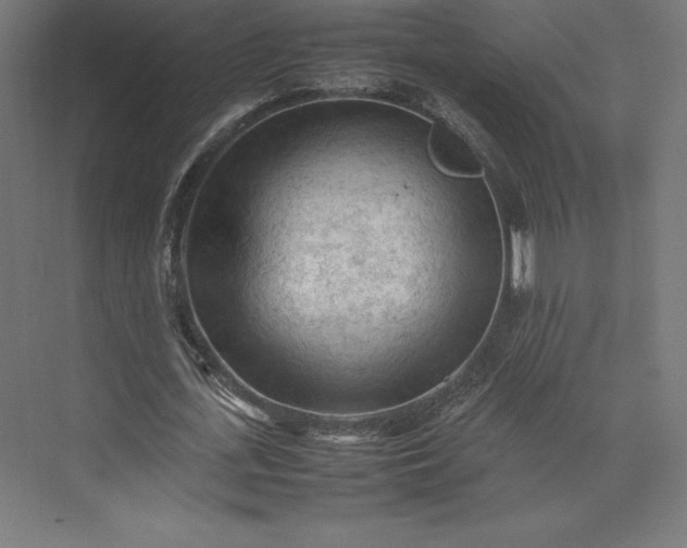 X0000074030723200609061141