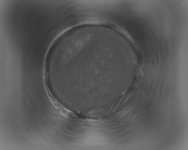 X0000074030724200609061141