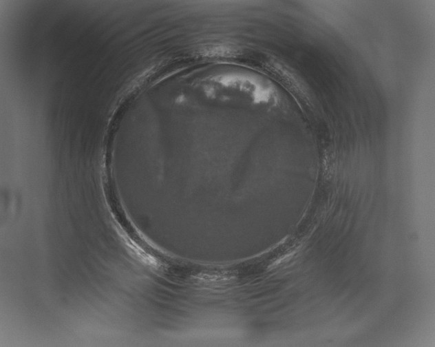 X0000074030725200609061141