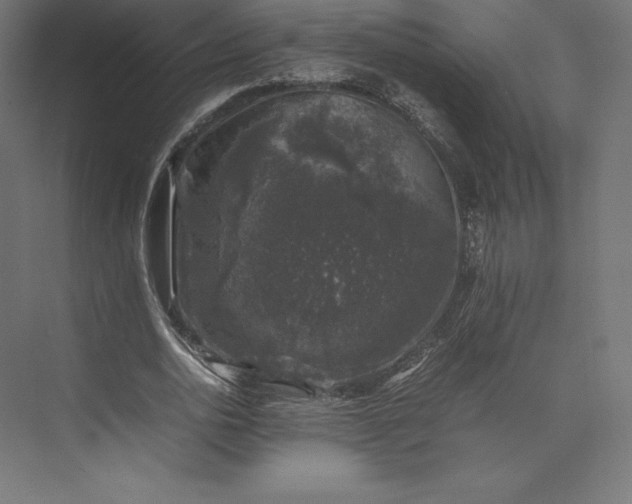 X0000074030726200609061141