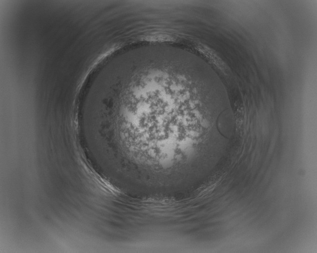 X0000074030727200609061141