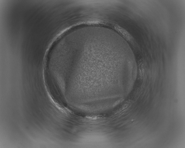 X0000074030728200609061141