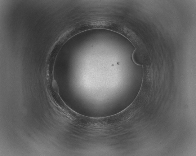 X0000074030731200609061141