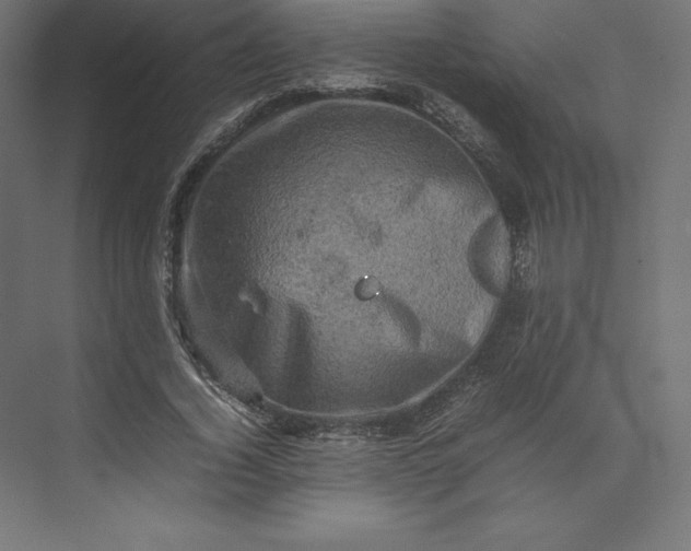 X0000074030732200609061141