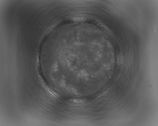 X0000074030733200609061141