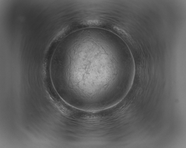 X0000074030735200609061141