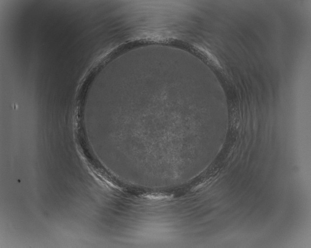 X0000074030736200609061141