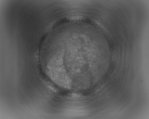 X0000074030737200609061141