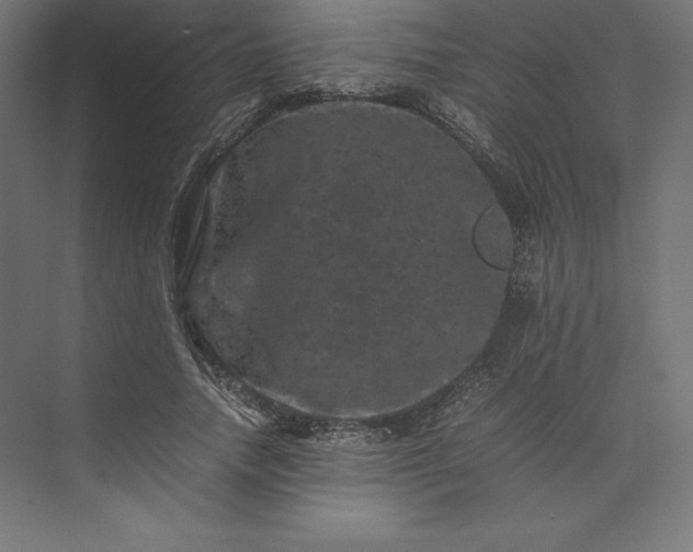 X0000074030738200609061141