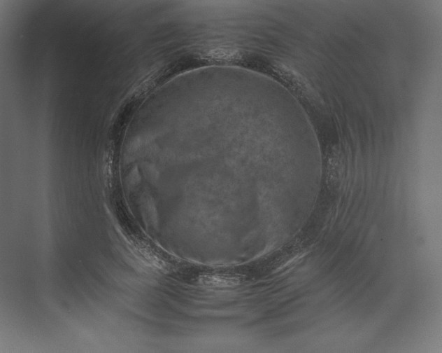 X0000074030739200609061141