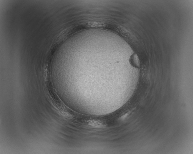 X0000074030741200609061141