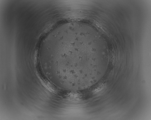 X0000074030742200609061141