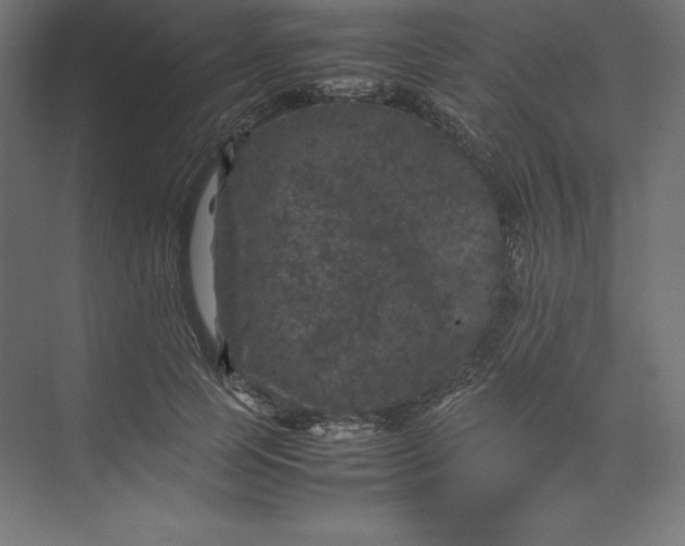 X0000074030745200609061141