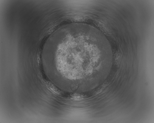 X0000074030746200609061141