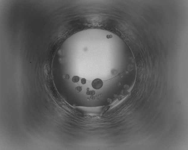 X0000074030747200609061141