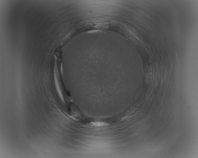 X0000074030748200609061141