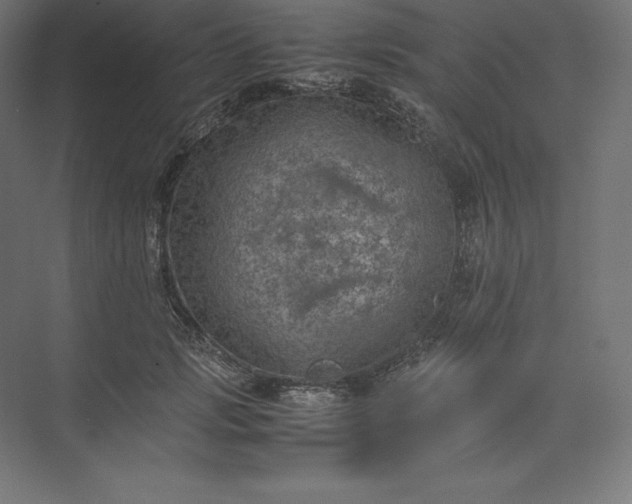 X0000074030749200609061141