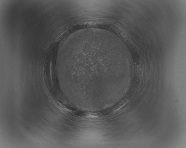 X0000074030750200609061141