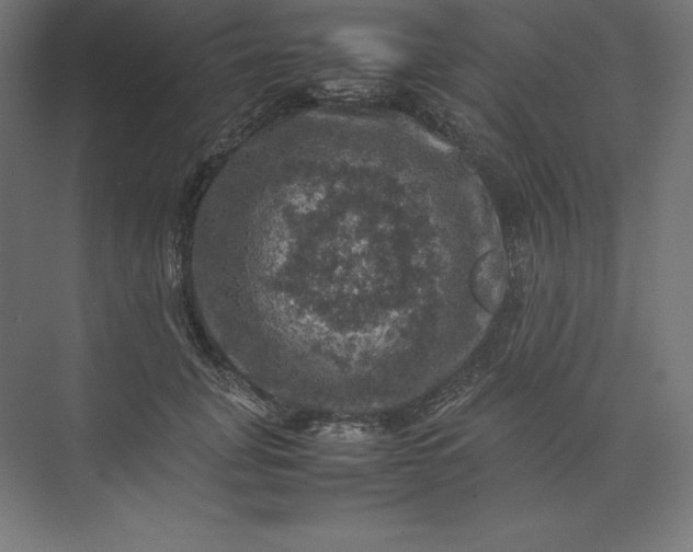 X0000074030751200609061141