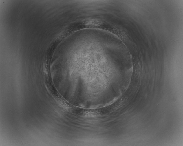 X0000074030755200609061141