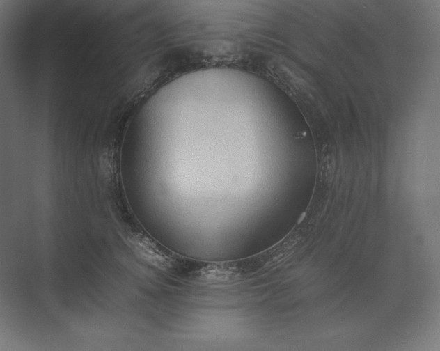 X0000074030756200609061141