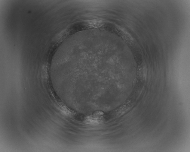 X0000074030757200609061141