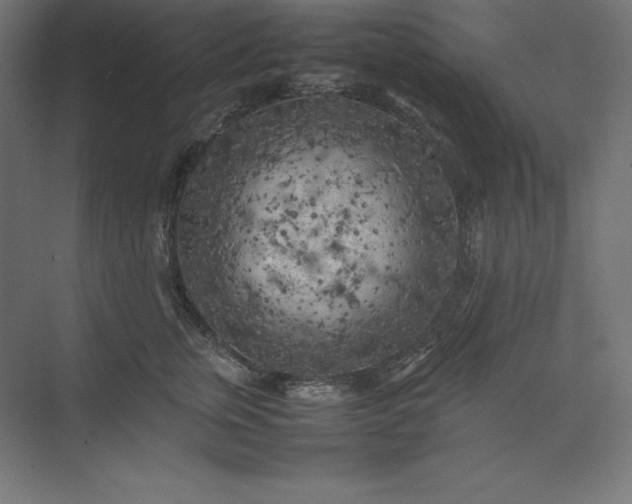 X0000074030759200609061141