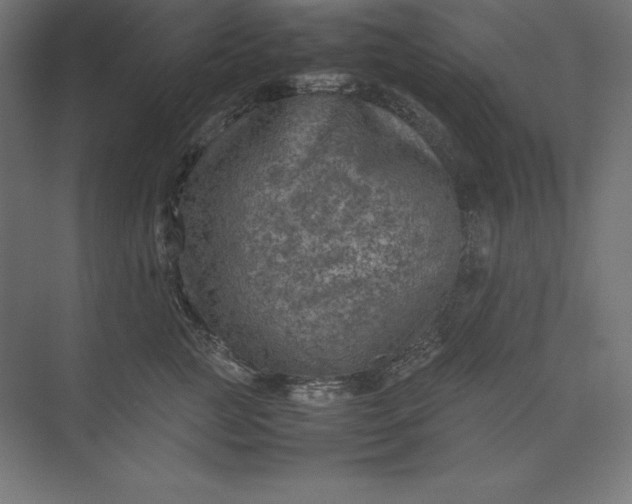 X0000074030761200609061141