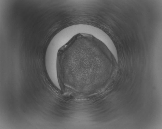 X0000074030762200609061141