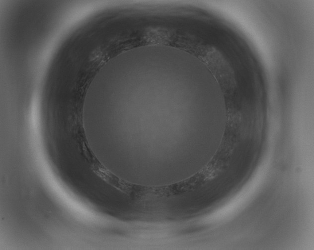 X0000074030765200609061141