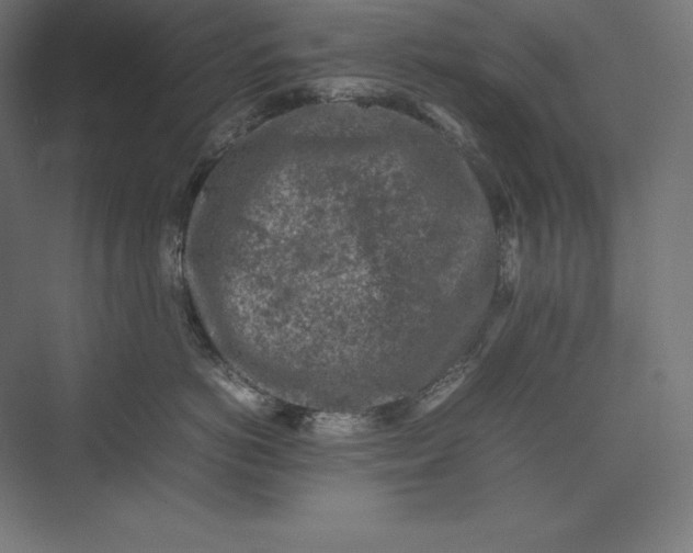 X0000074030766200609061141