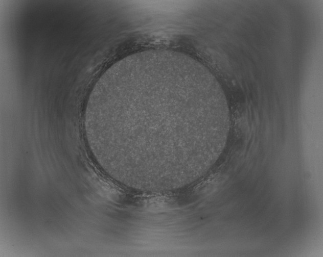 X0000074030769200609061141