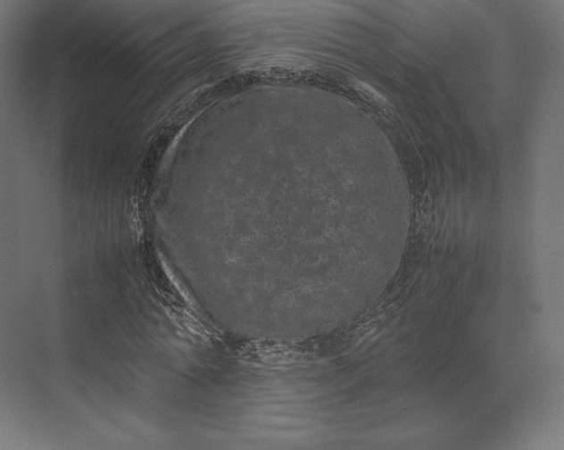 X0000074030774200609061141