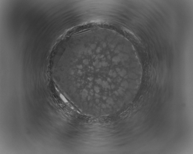 X0000074030776200609061140