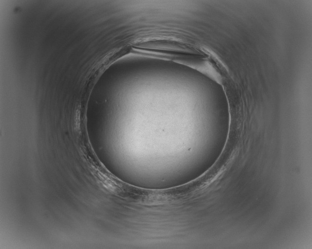 X0000074030777200609061140