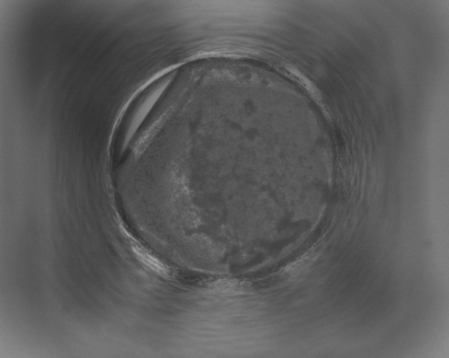 X0000074030779200609061140