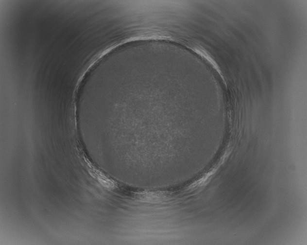 X0000074030781200609061140