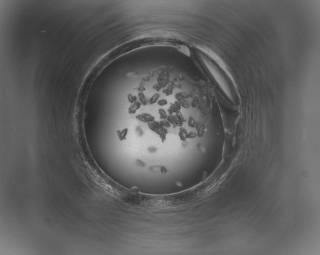 X0000074030783200609061140