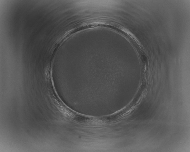 X0000074030785200609061140