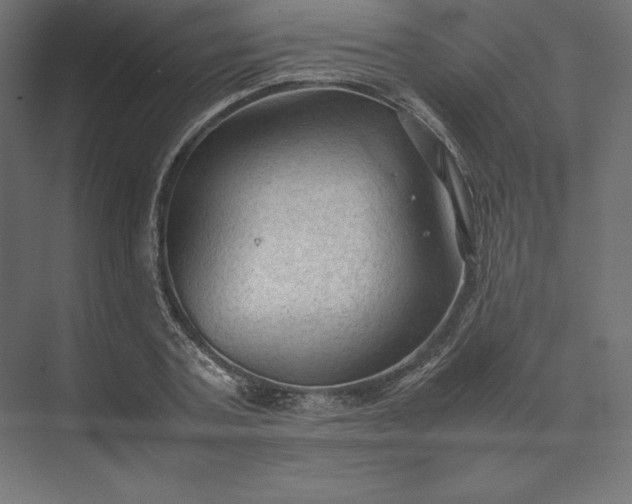 X0000074030787200609061140