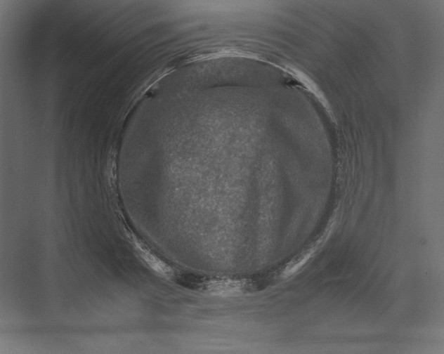 X0000074030793200609061140