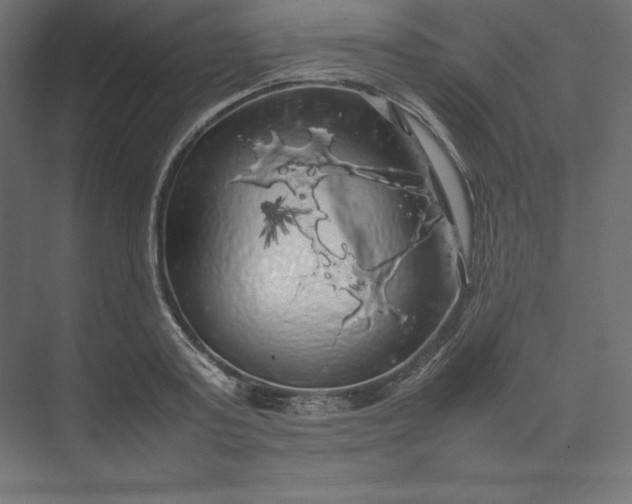 X0000074030795200609061140