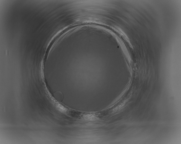 X0000074030798200609061140