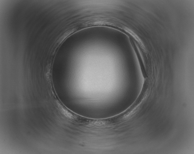 X0000074030801200609061140