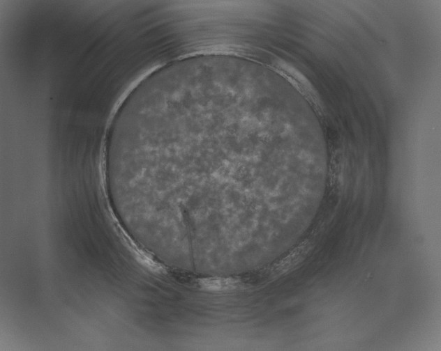 X0000074030804200609061140