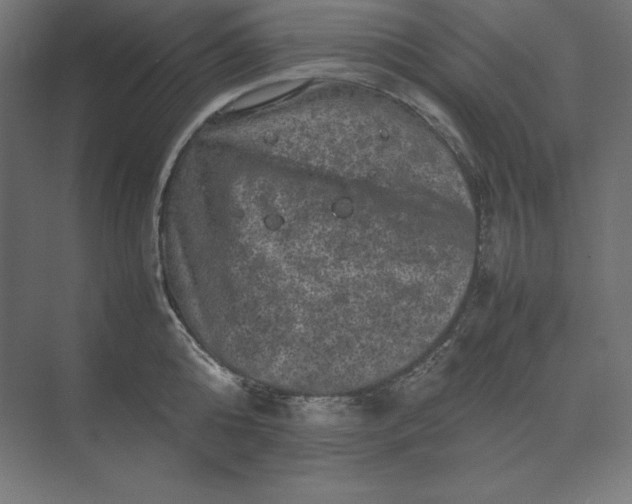 X0000074030808200609061140