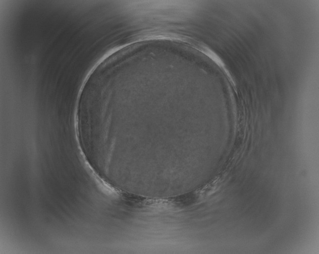 X0000074030811200609061140