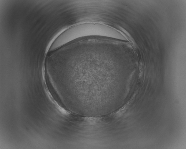 X0000074030812200609061140