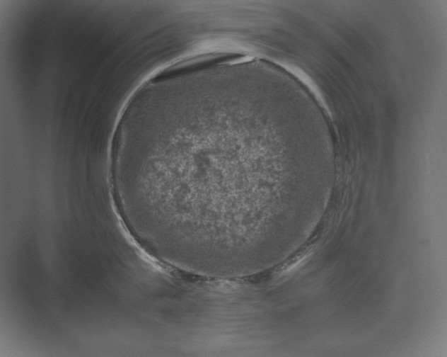 X0000074030815200609061140