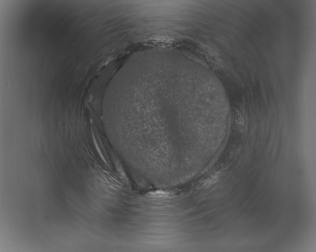 X0000074030818200609061139